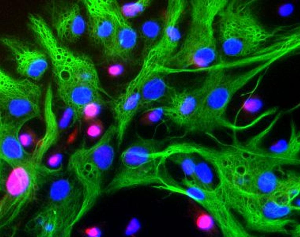 In all the Bars in all the World - Rob Nunan